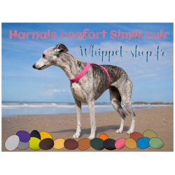 whippet-shop-fr-harnais-confort-simili-cuir