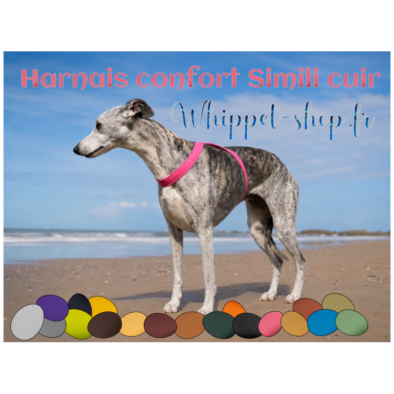 whippet-shop-fr-harnais-confort-simili-cuir