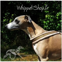 Harnais-petit-lévrier-italien-Harnais italian-greyhound-Harnais lévrier-harnais-whippet-galgo-podenco-whippet-shop-fr
